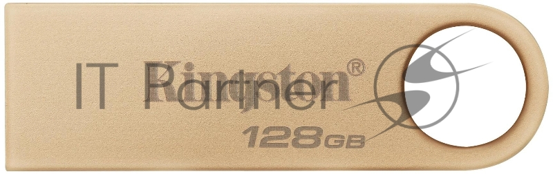 Флеш Диск Kingston 128GB DataTraveler SE9 DTSE9G3/128GB USB3.0 серебристый