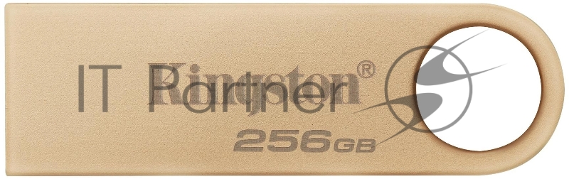 Флеш Диск Kingston 256GB DataTraveler SE9 DTSE9G3/256GB USB3.0 серебристый