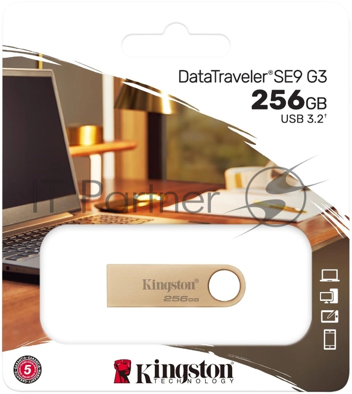 Флеш Диск Kingston 256GB DataTraveler SE9 DTSE9G3/256GB USB3.0 серебристый