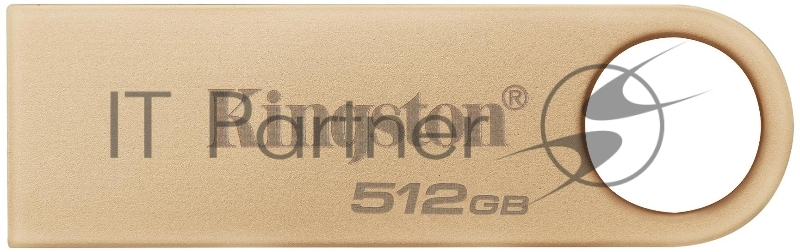 Флеш Диск Kingston 512GB DataTraveler SE9 DTSE9G3/512GB USB3.0 серебристый