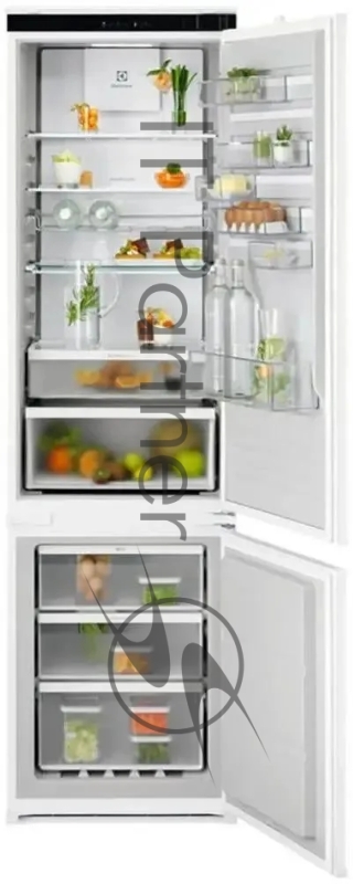 Холодильник Electrolux ENT6ME19S 2-хкамерн.