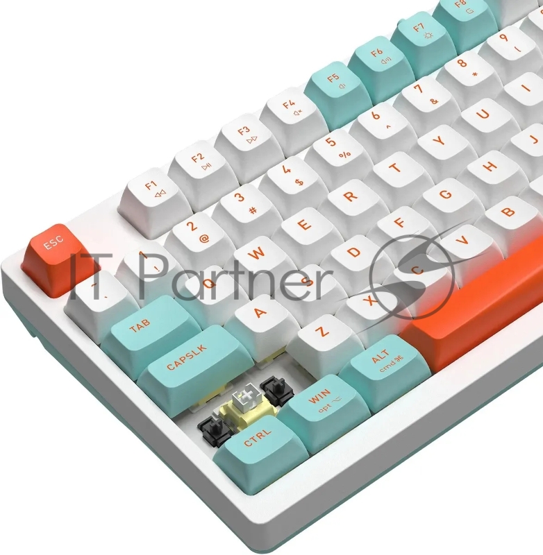 Клавиатура A4Tech Fstyler FS300 механическая белый USB for gamer LED (FS300 PANDA SNORKLENING)