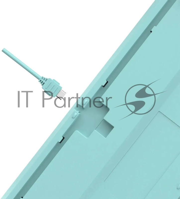 Клавиатура A4Tech Fstyler FS300 механическая белый USB for gamer LED (FS300 PANDA SNORKLENING)