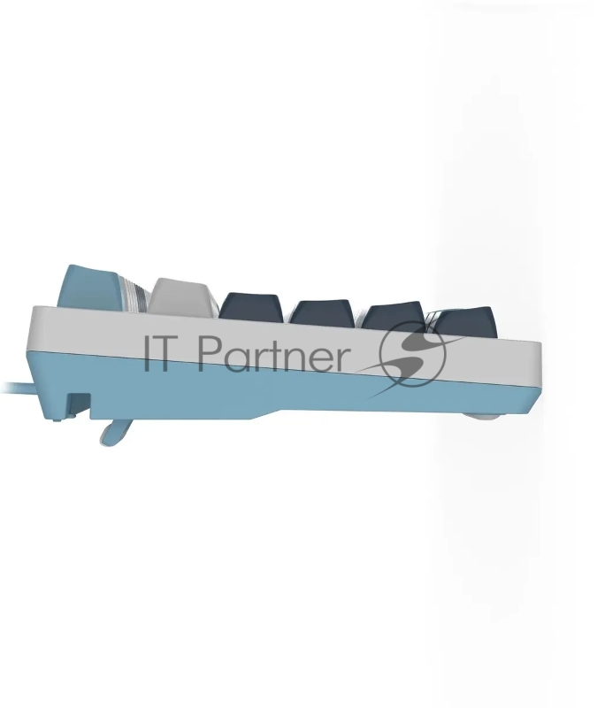 Клавиатура A4Tech Fstyler FS300 механическая белый/синий USB for gamer LED (FS300 PANDA SNOWBOARDING)