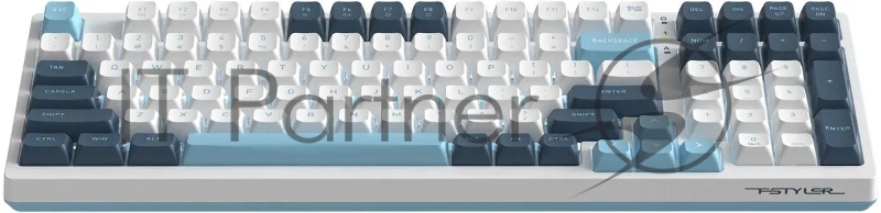 Клавиатура A4Tech Fstyler FS300 механическая белый/синий USB for gamer LED (FS300 PANDA SNOWBOARDING)