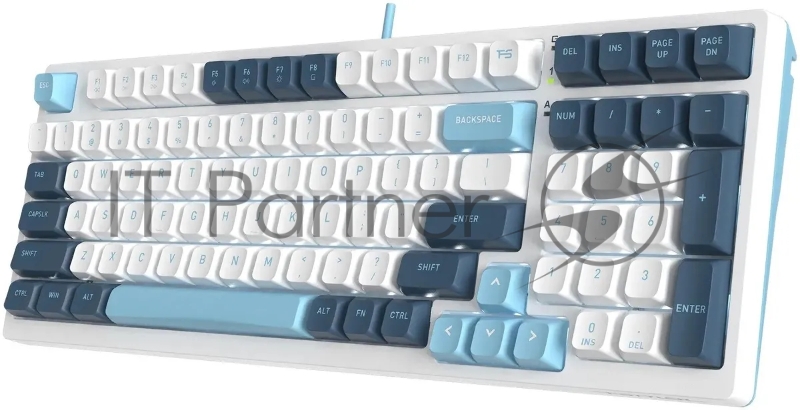 Клавиатура A4Tech Fstyler FS300 механическая белый/синий USB for gamer LED (FS300 PANDA SNOWBOARDING)