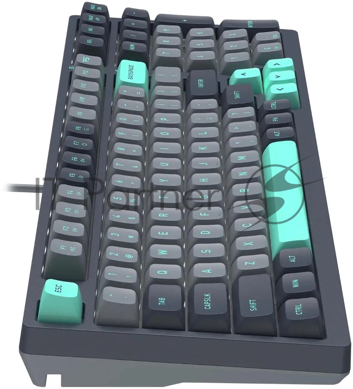 Клавиатура A4Tech Fstyler FS300 механическая черный/серый USB for gamer LED (FS300 PANDA ROCK)