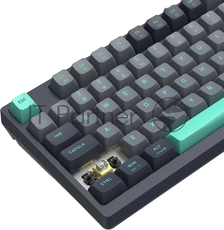 Клавиатура A4Tech Fstyler FS300 механическая черный/серый USB for gamer LED (FS300 PANDA ROCK)