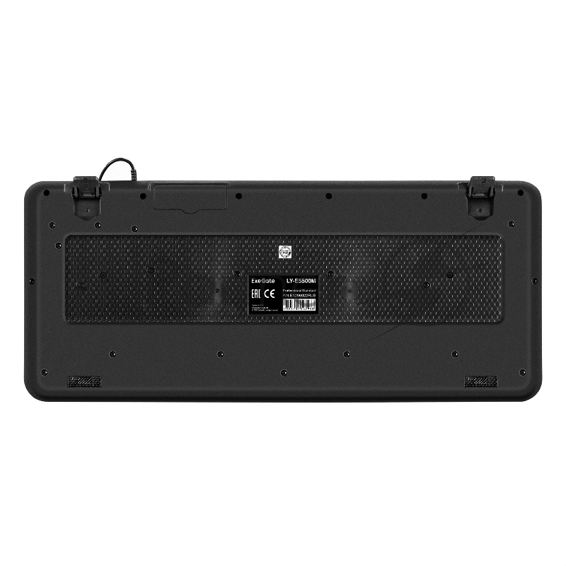 Клавиатура ExeGate Professional Standard LY-E5500M (USB, полноразмерная, влагозащищенная, 104кл., Enter большой, подставка под запястья, длина кабеля 1,35м, черная, Color Box)