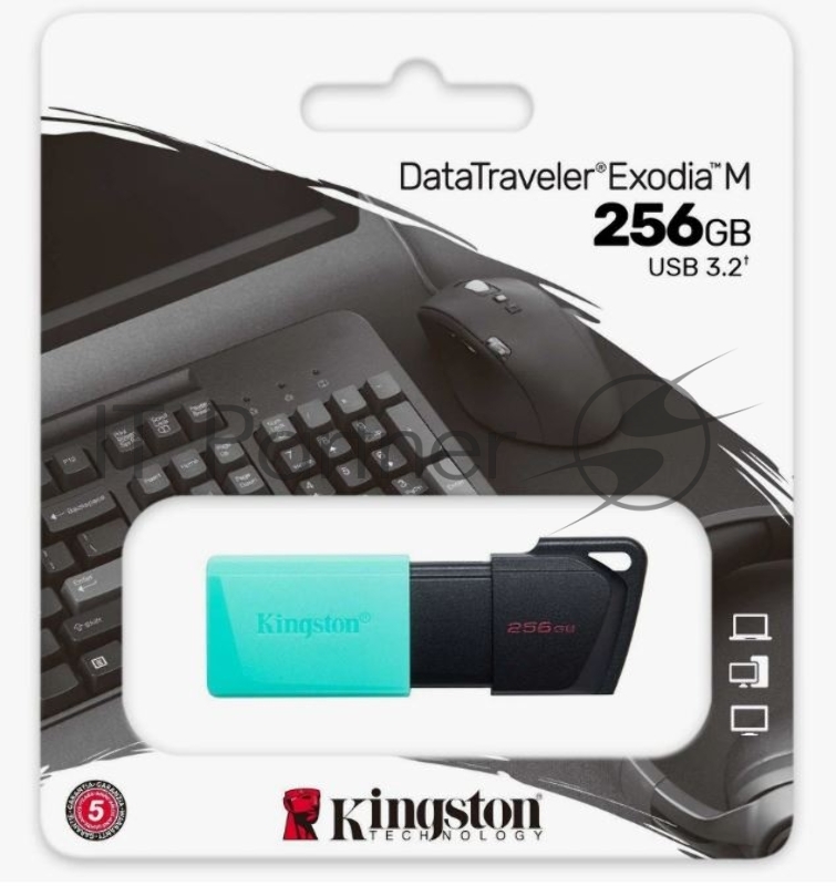 Флеш Диск Kingston 256Gb DataTraveler DTXM DTXM/256GB USB3.2 черный/зеленый