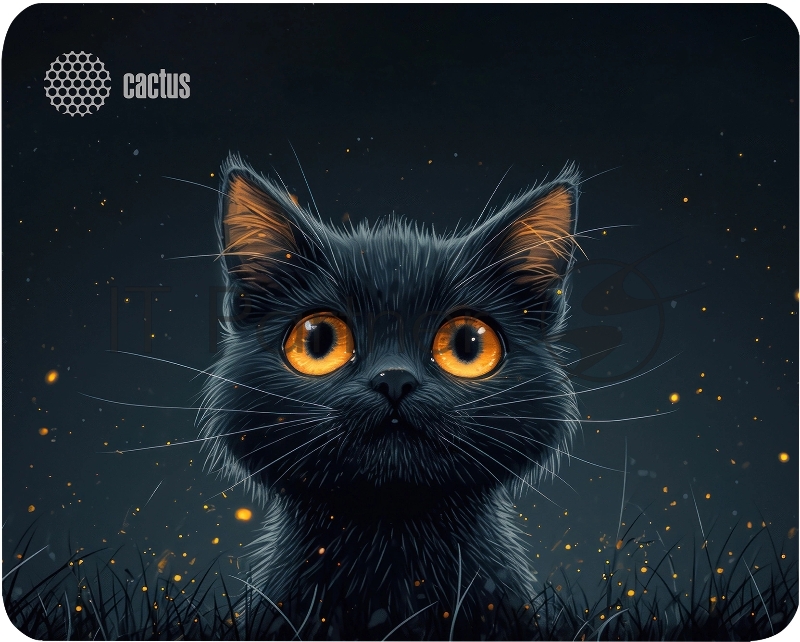 Коврик для мыши Cactus Black Cat 250x200x3мм (CS-MP-D09S)
