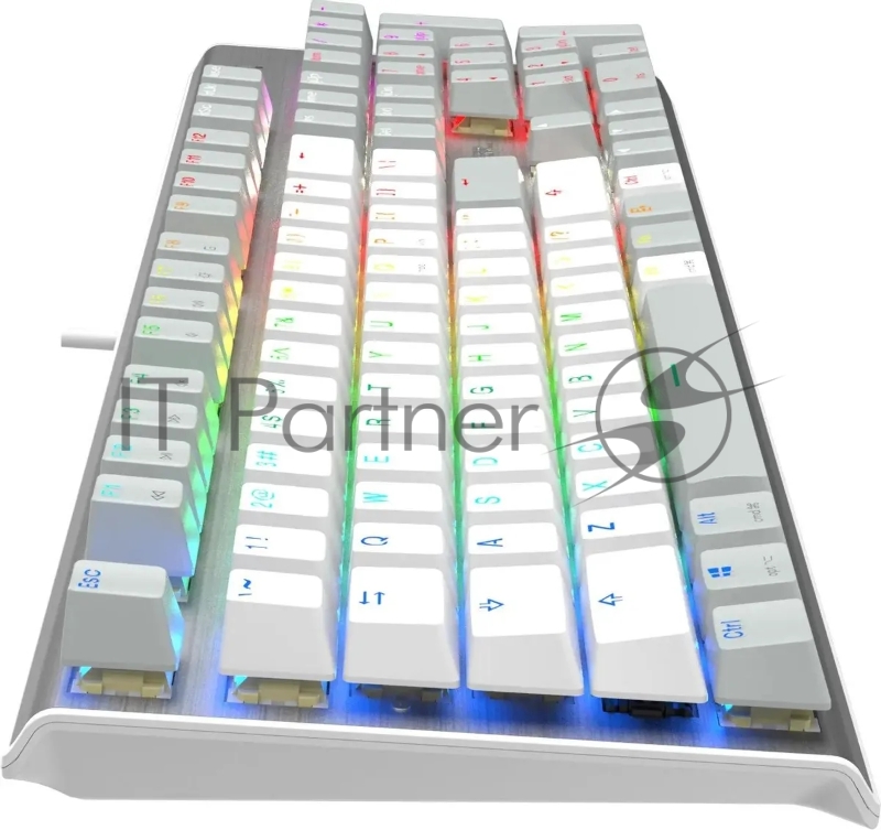 Клавиатура A4Tech Fstyler FS100 Neon механическая серый/белый USB for gamer LED (FS100)