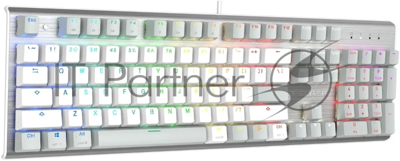 Клавиатура A4Tech Fstyler FS100 Neon механическая серый/белый USB for gamer LED (FS100)