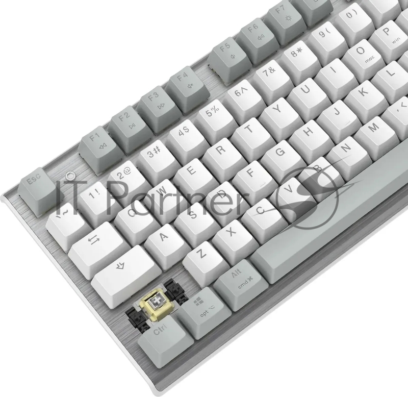 Клавиатура A4Tech Fstyler FS100 Neon механическая серый/белый USB for gamer LED (FS100)