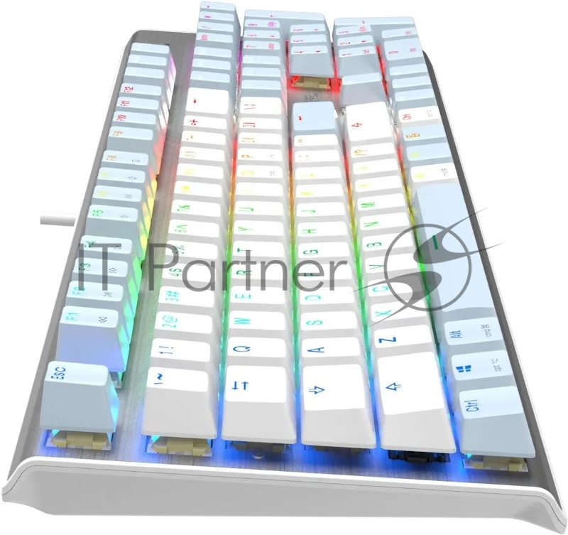 Клавиатура A4Tech Fstyler FS100 Neon механическая синий/белый USB for gamer LED (FS100)