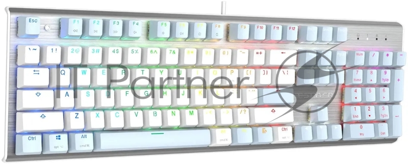 Клавиатура A4Tech Fstyler FS100 Neon механическая синий/белый USB for gamer LED (FS100)