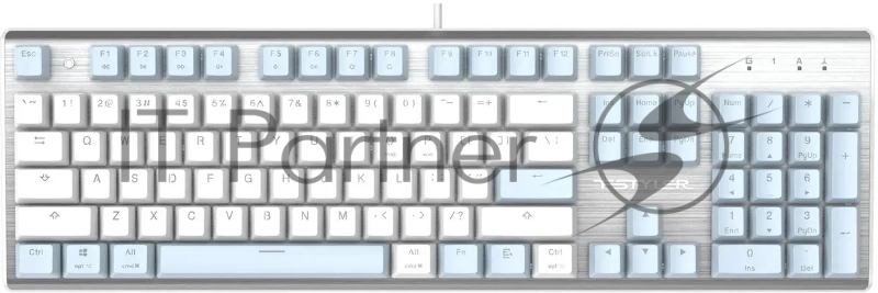 Клавиатура A4Tech Fstyler FS100 Neon механическая синий/белый USB for gamer LED (FS100)