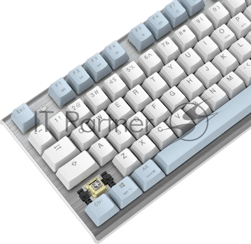 Клавиатура A4Tech Fstyler FS100 Neon механическая синий/белый USB for gamer LED (FS100)