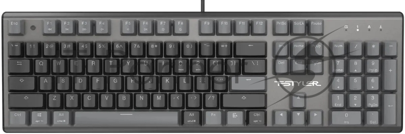 Клавиатура A4Tech Fstyler FS100 Neon механическая черный USB for gamer LED (FS100)