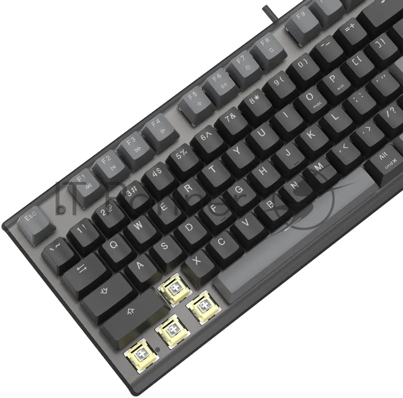 Клавиатура A4Tech Fstyler FS100 Neon механическая черный USB for gamer LED (FS100)