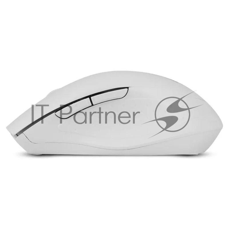 Мышь Sven RX-425W USB белый (SV-014469)