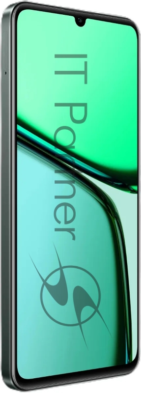 Смартфон Realme C61 6GB/128GB Dark Green (RMX3930)