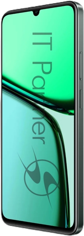 Смартфон Realme C61 6GB/128GB Dark Green (RMX3930)