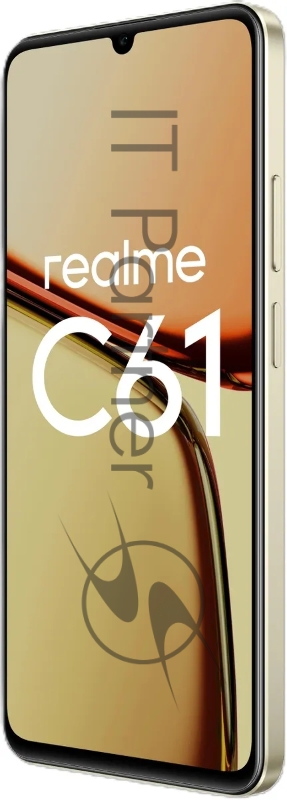 Смартфон Realme C61 8GB/256GB Sparkle Gold (RMX3930)