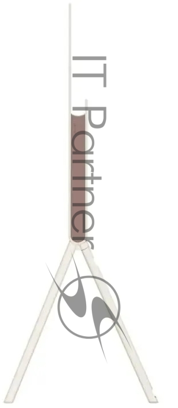 Телевизор LG 55LX1T6LA.ARUB