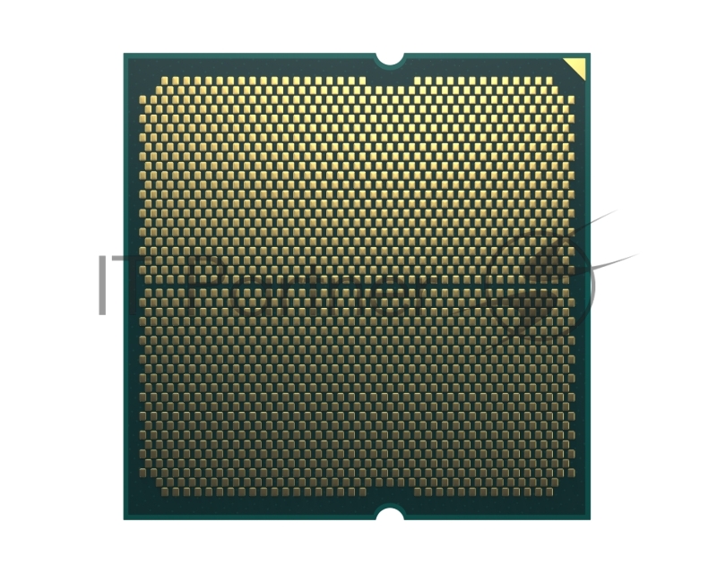 Процессор AMD RYZEN X8 7800X3D S AM5 OEM 120W 4.2-5.0Ghz 100-000000910