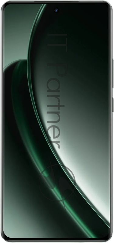 Смартфон Realme GT6 5G RMX3851, 12/256Gb, зеленый туман