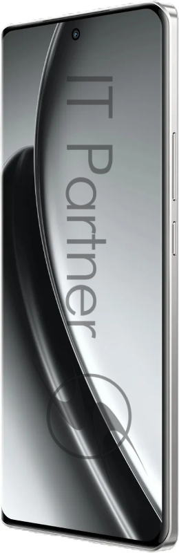 Смартфон Realme GT6 5G RMX3851, 12/256Gb, серебристый