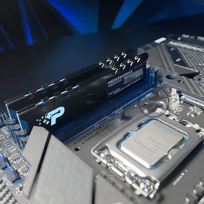 Память DDR5 8GB 5200MHz Patriot PSP58G520081H1 Signature Premium RTL PC5-41600 CL42 DIMM 288-pin 1.1В single rank с радиатором Ret