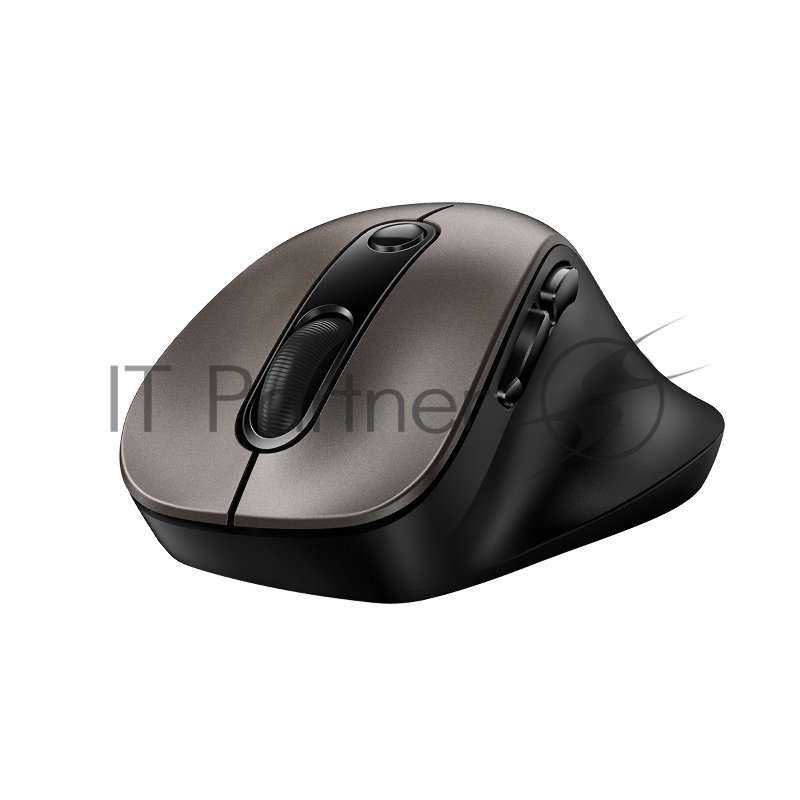 Мышь беспроводная Genius Ergo 9000S шампань титановый, 2400 dpi, радиоканал, USB, кнопки - 6