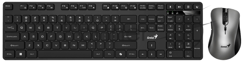 Комплект клавиатура + мышь беспроводной Genius KM-8216S, 2.4GHz, KM-8216S + Ergo 8100S AI