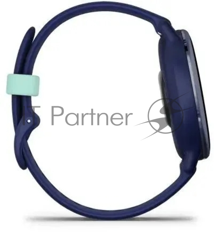 Смарт-часы Garmin Vivoactive 5 синий 42мм