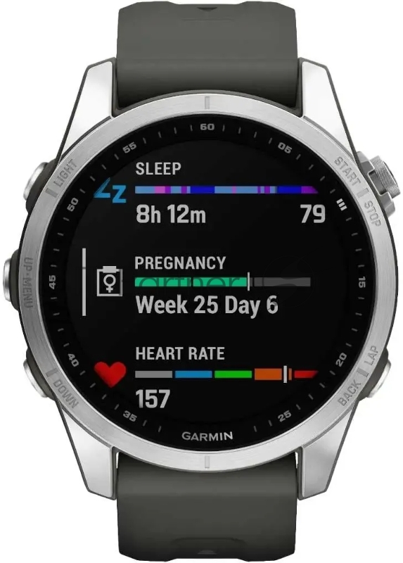 Смарт-часы Garmin Fenix 7s серебристый с графитовым ремешком 42мм