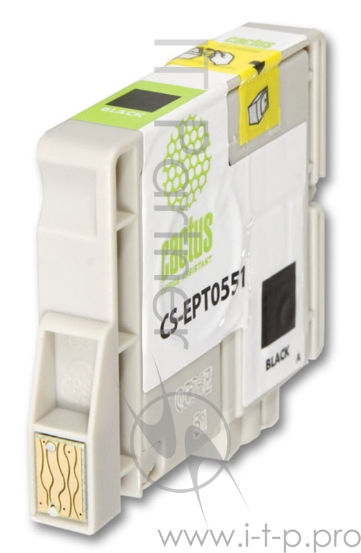 Картридж струйный Cactus CS-EPT0551 черный для Epson Stylus RX520/Stylus Photo R240 (10мл)