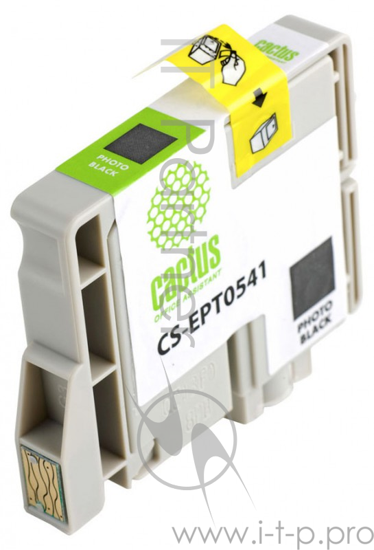 Картридж струйный Cactus CS-EPT0541 черный для Epson Stylus Photo R800/R1800 (16.2мл)