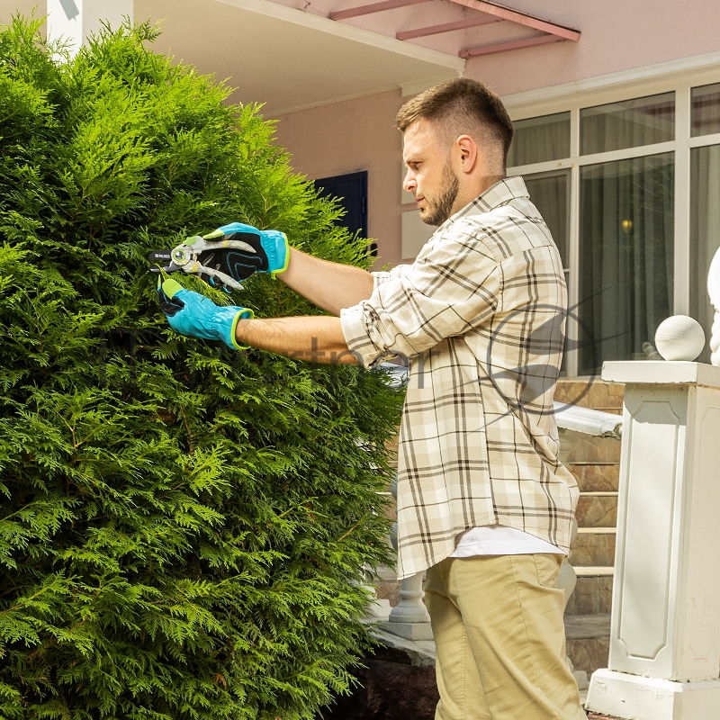 Секатор с наковальней, 210 мм, пластиковые рукоятки Palisad