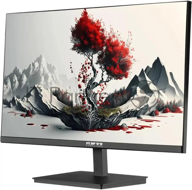 Монитор RDW Computers 23.8 RDW2401K черный IPS 4ms 16:9 HDMI матовая 250cd 178гр/178гр 1920x1080 100Hz VGA DP FHD 4.185кг (RUS)