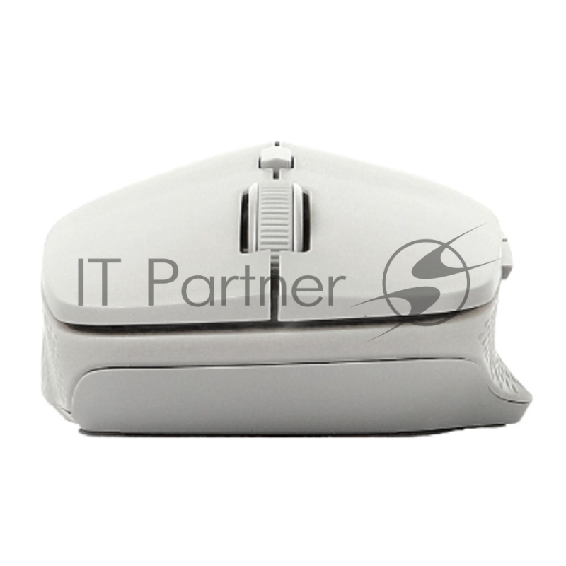 Мышь Rapoo M300 белый