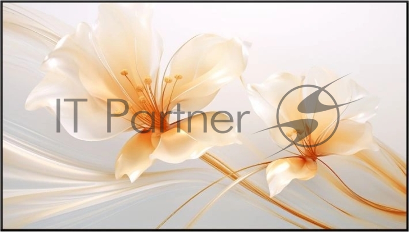 Экран на раме Xgimi 127.6x224.5см 100 UST ALR Screen 16:9 настенный рулонный