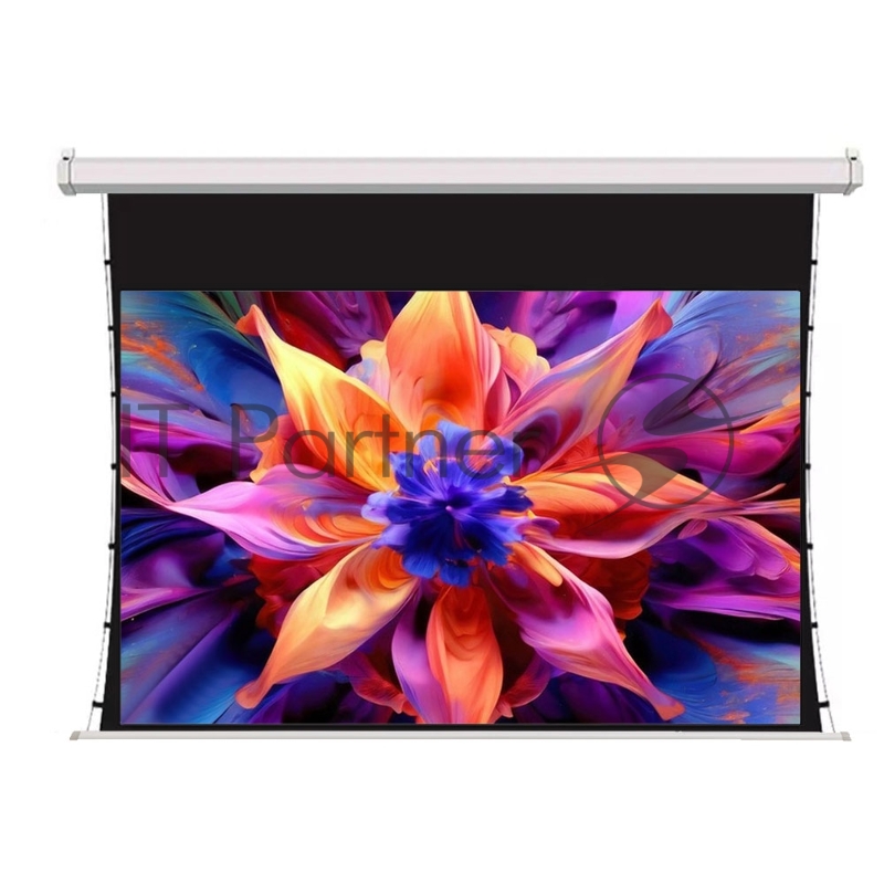 Экран для проектора SOK SCPSMT-221x125ED30-GR 100 16:9 настенно-потолочный, моторизованный с боковым натяжением, серый, ED30 см