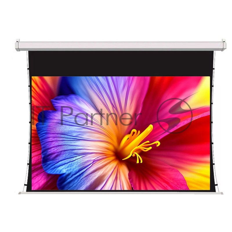 Экран для проектора SOK SCPSMT-298x168FG-ED30 135 16:9 настенно-потолочный, моторизованный с боковым натяжением, белый, ED30 см