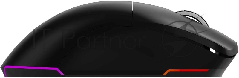 Мышь Oklick 900GMW черный