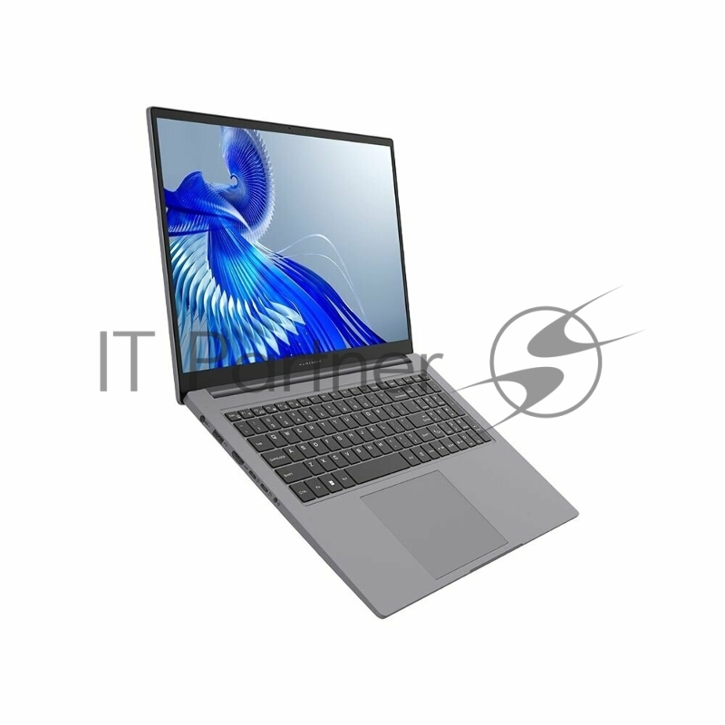 Ноутбук Maibenben P725 серый P7251SF0LGRE0 17.3(1920x1080 (матовый) IPS)/Intel Core i5 12450H(2Ghz)/16384Mb/512PCISSD UHD Graphics/Cam/BT/WiFi/70WHr/war 1y/2.1kg/Linux + Screen 60Hz