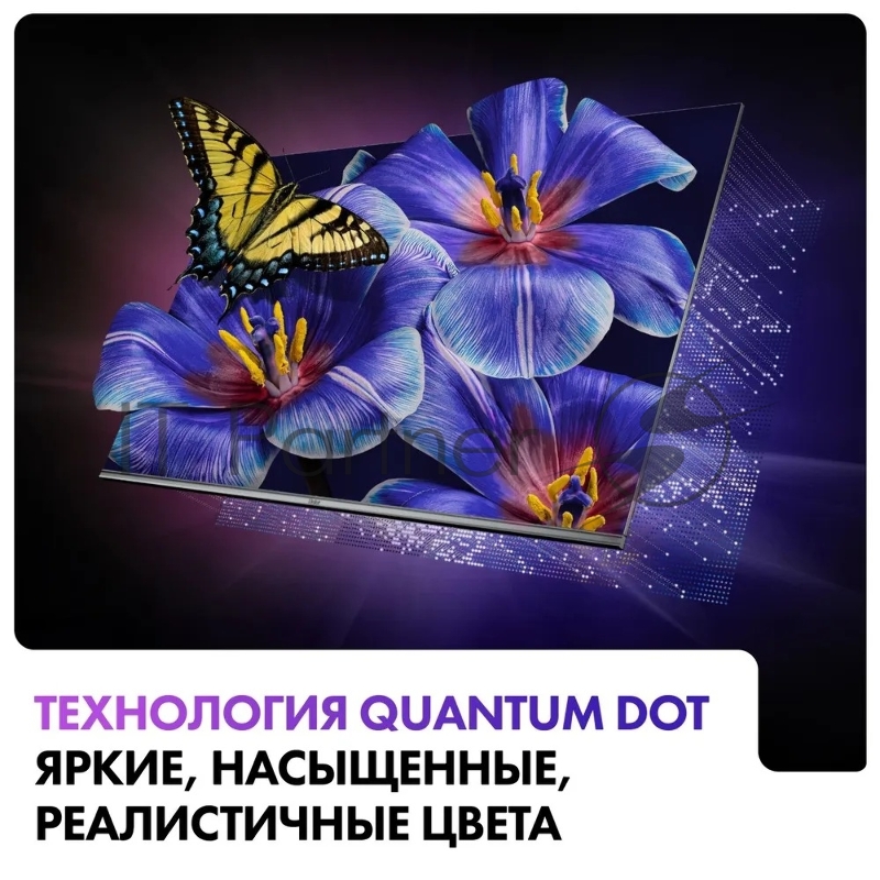 Телевизор Haier DH1VMZD01RU 55 Smart TV S4, QLED, 4K Ultra HD, серый, СМАРТ ТВ, Android TV