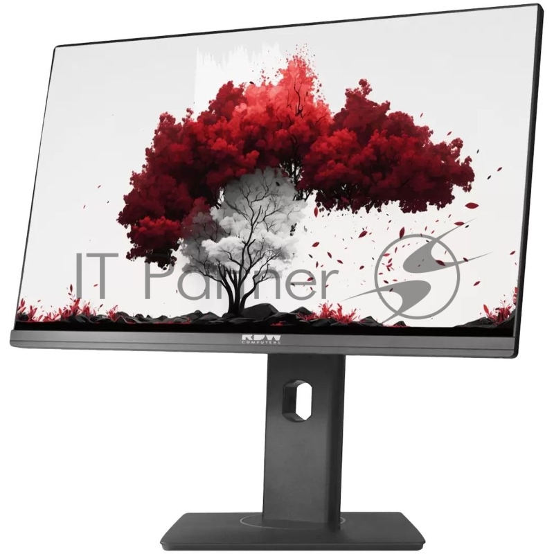 Монитор RDW Computers 23.8 RDW2402K/F00B3 черный IPS 6ms 16:9 HDMI M/M Cam матовая HAS Piv 250cd 178гр/178гр 1920x1080 75Hz VGA DP FHD USB (RUS)