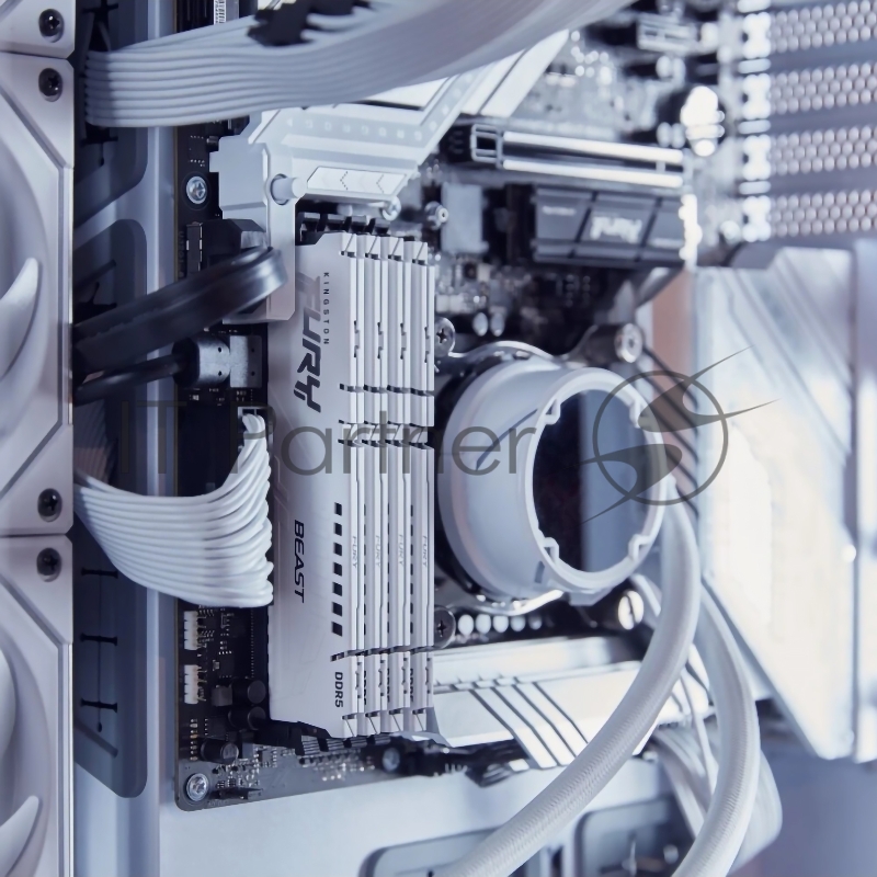 Модуль памяти Kingston KF552C40BW-32